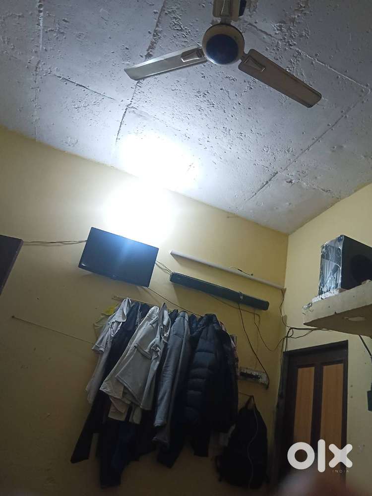 Need female room mate