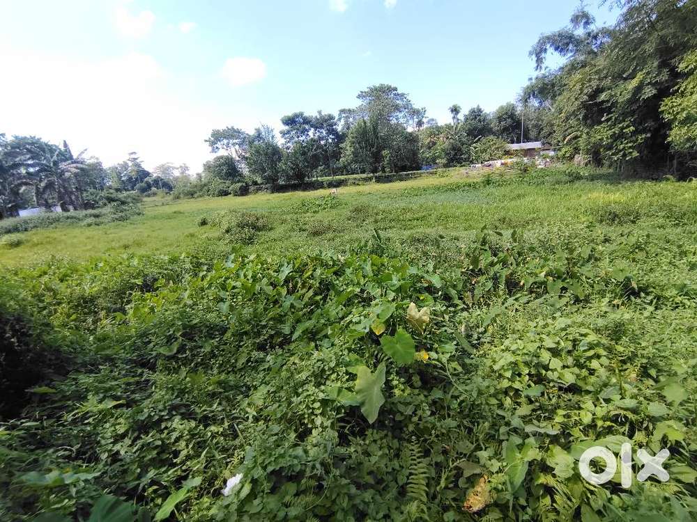 LAND FOR SALE 20 KOTHA SOTAI NEAR SCIENCE COLLEGE