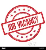 Team leader, telegram,office assistant,document writing