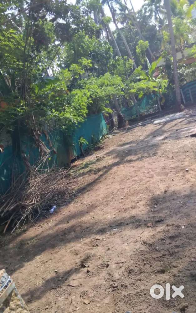 Kayamkulam Eruva west , kareelakulangara