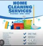 Home Cleaning and Pest control