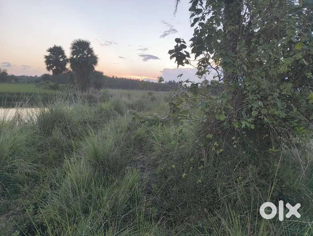 Puri, Malatipatpur, 2km inside plot price for only