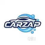 Professional door step car washers