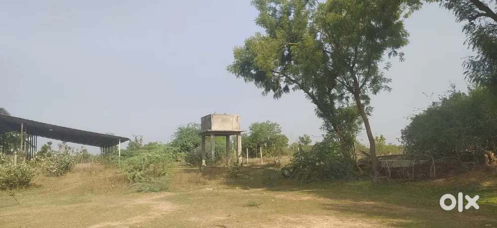 4 vigha tabelo iron roof shed