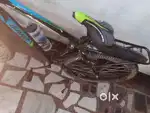 Seller of gang cycle