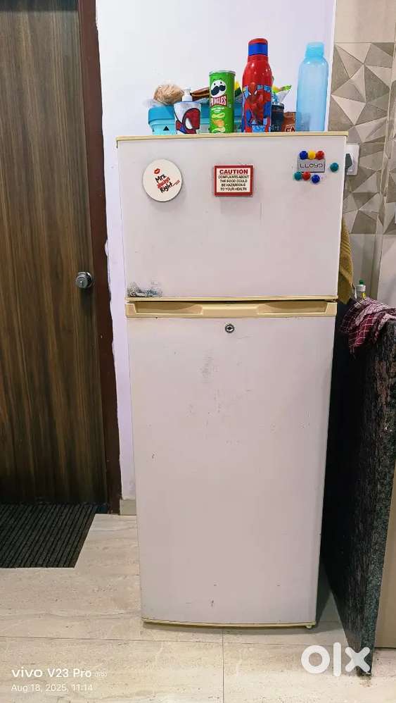 Lloyd Fridge