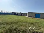 Independent