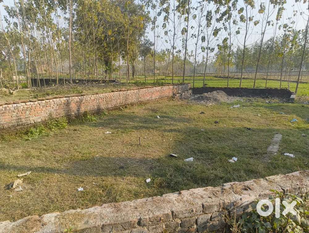 Dono taraf raashte hai 131 Gaj Plot Nadosi C.b ganj Near Gau Shala