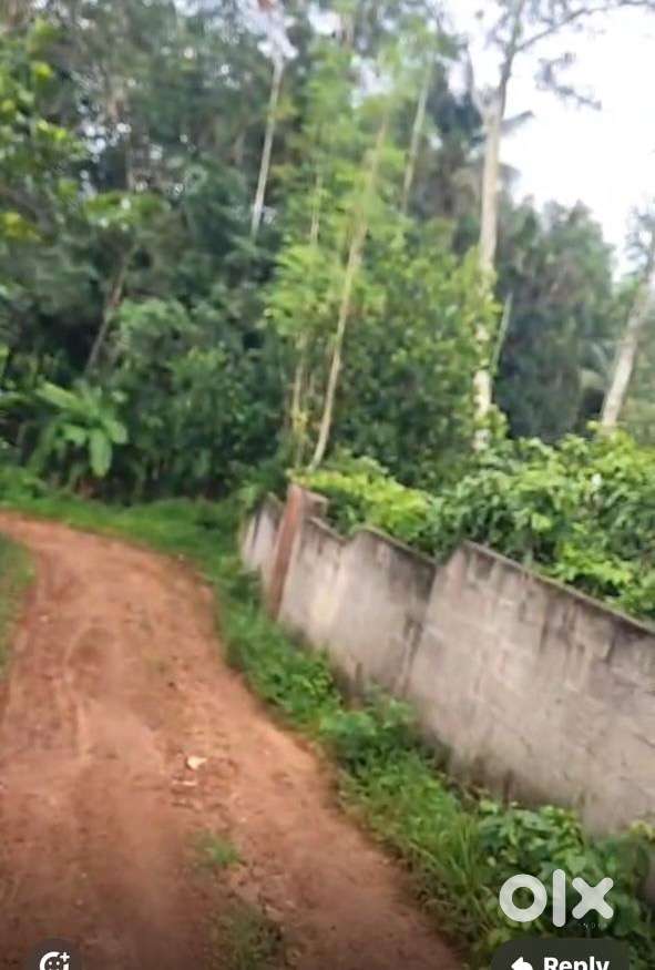 Two roadside plots for sale at Charupara — 7 cents and 12 cents