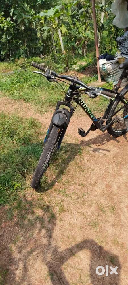 Size 29 green and black colour