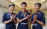 Ground Staff jobs in indigo Airlines urgent hiring