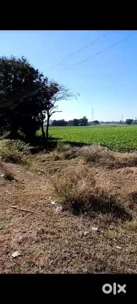 3bighas land available in dewas in 9cr attached with national highway