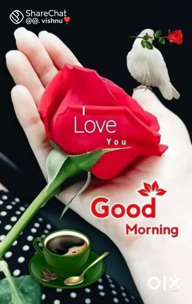 Attractive salary, peaceful ambience,