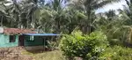 40 cent tar road frontage coconut farm 60000 per cent kozhinjampara