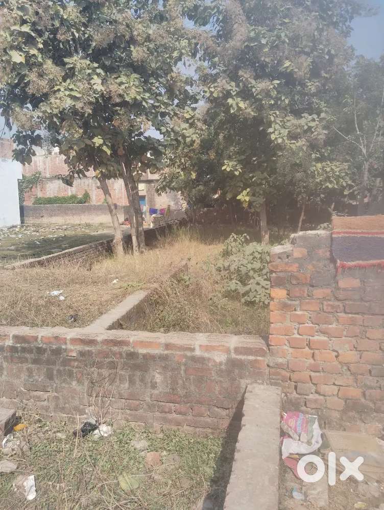 Bariyarpurwa dadua bazar gonda