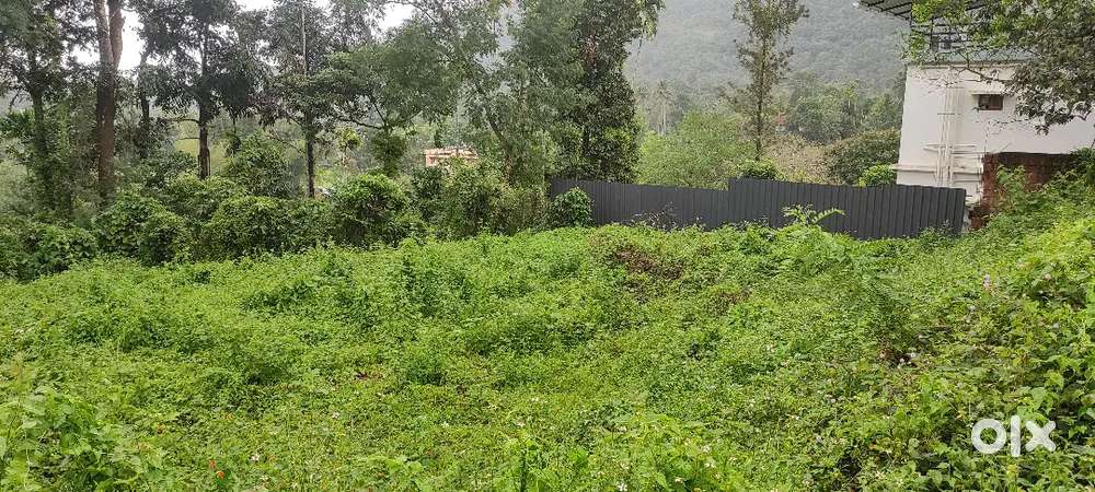 House,or villas plot, 10 cent,200 mtr from kalpetta meppadi road