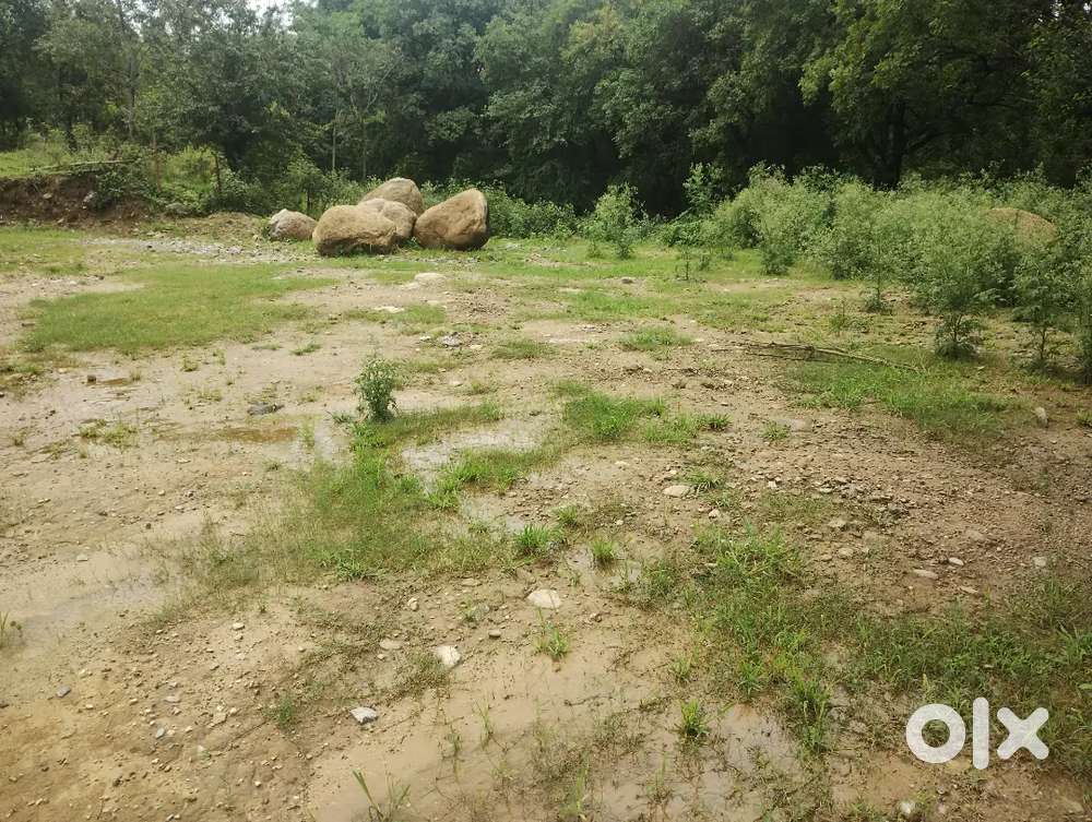 MC Approved plots are sale in Palampur.