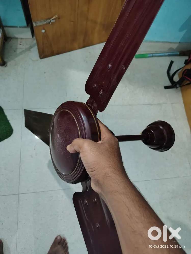 Ceiling fan