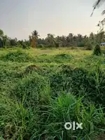 1 Acre of Land at Kundannoor, Maradu