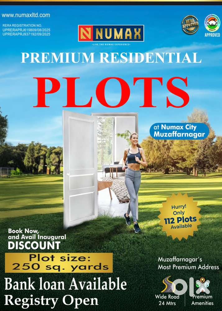 Premium plots