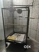 Bird cage with food bowl and perch