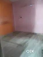 Need urgent girl flatmate