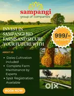 First Time in Telangana Guarantee Income from Dates Cultivation.