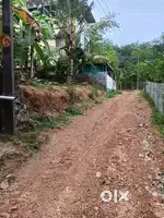 7.5 cent near Vattapara, Perumkoor, 100 m from MC road