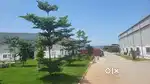 Kannur Airport area sale land Rate is Negotiable