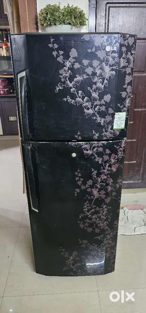 LG DOUBLE DOOR 240 LTR FRIDGE