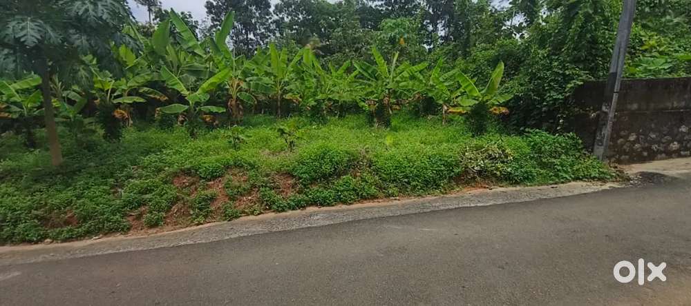 Kothamagalam -Chelad 7.500Cent Residential plot for sale