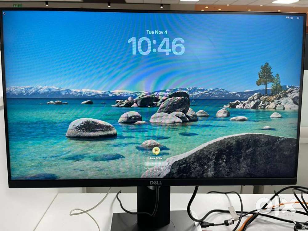 Dell Monitor 24-inch