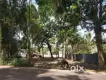 സ്ഥലം  വില്പനയ്ക്ക്
 Land for sale