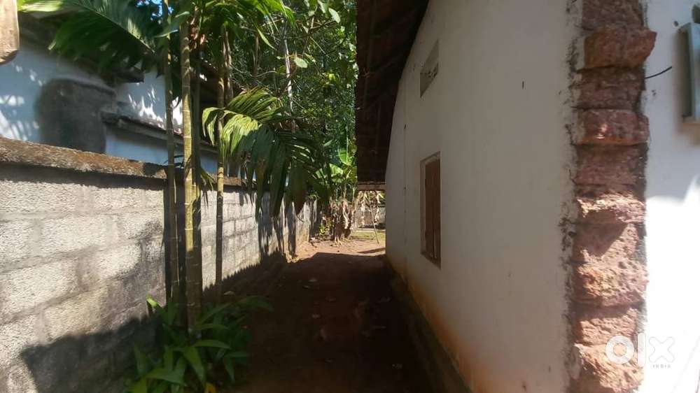 2BHK Independent House on 10 Cent Plot-Gated Property