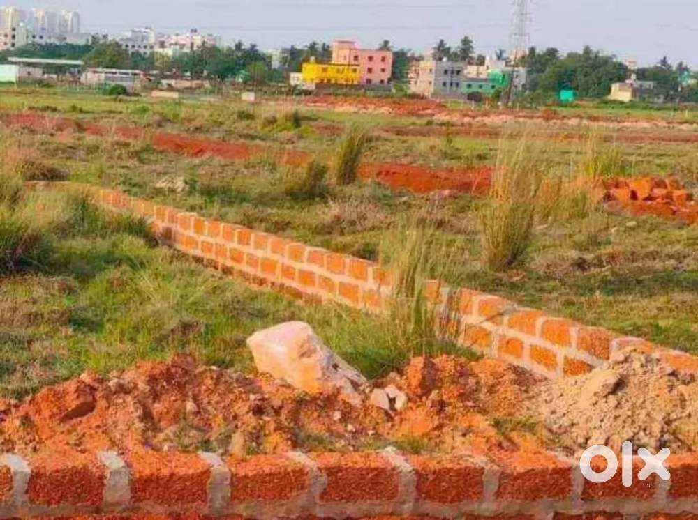 Near doon school sijua patrapada