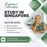 Singapore Diploma with internship