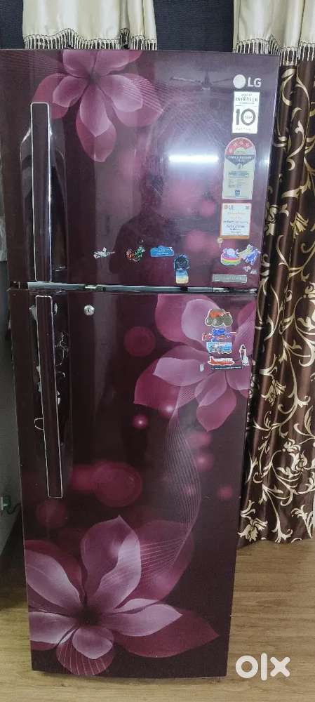 Lg refrigerator