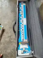 Electric Banjo