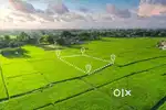 4 bigha land for sell urgent