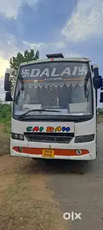 New bus porpoise