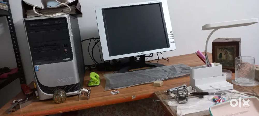 Ladies Personal Assistant