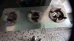 Fast food  stove