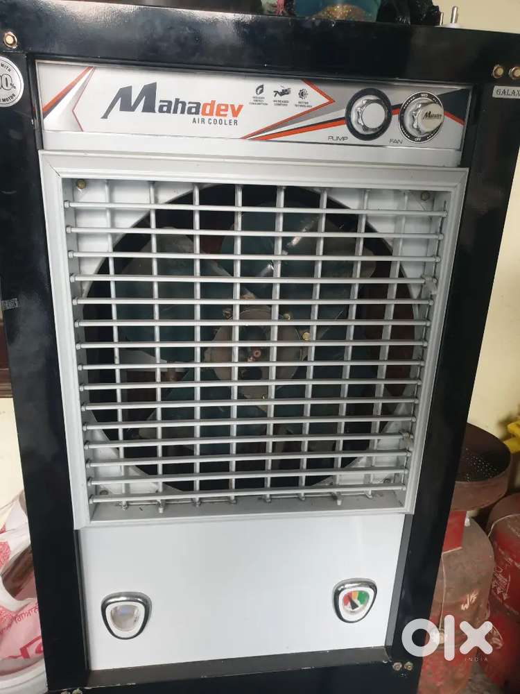 3 month old cooler for sale