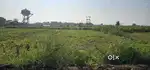Prime location Good plot available for sale