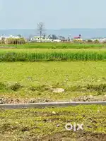 Plot plot plot@12000/ sq yd