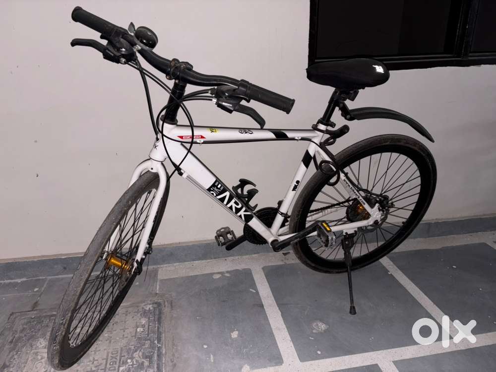White Bicycle