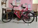 Three years old