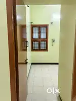 Commercial house for rent