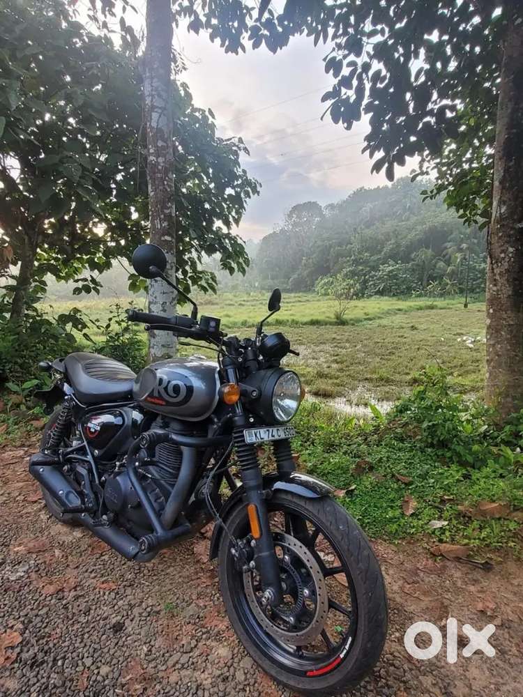 Hunter 350 Crash Guard