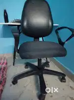 Study and office chair